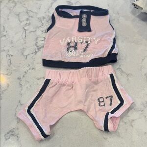 Pink Varsity Dog Outfit